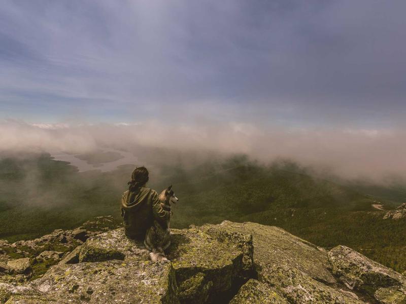 Парцела со дозвола - Скопје - Земјиште, Скопје