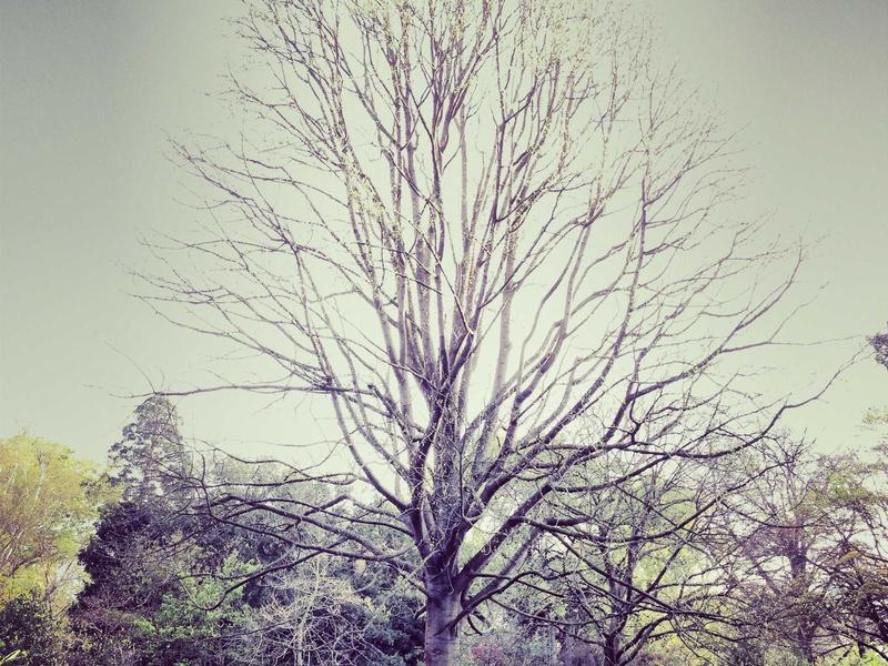 Земјиште близу центар - Штип - Земјиште, Штип